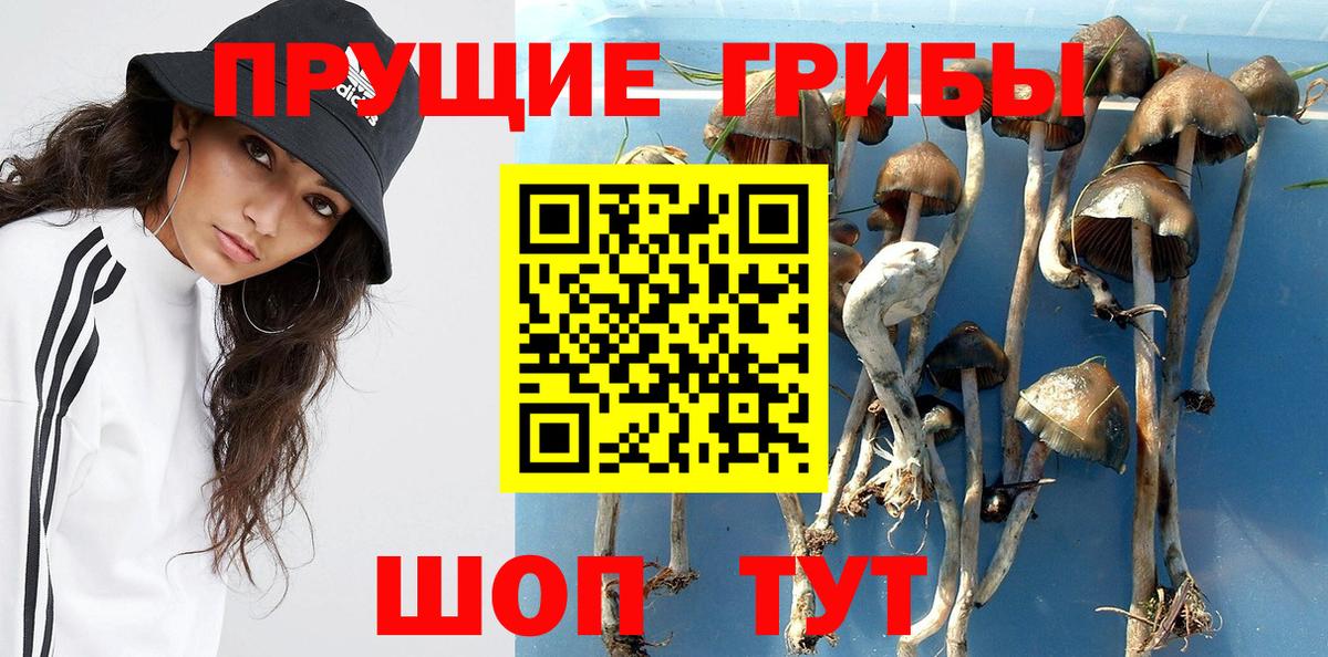 Псилоцибиновые грибы Cubensis  Галлюциногенные грибы Magic Shrooms  Железноводск  Вход с VPN 