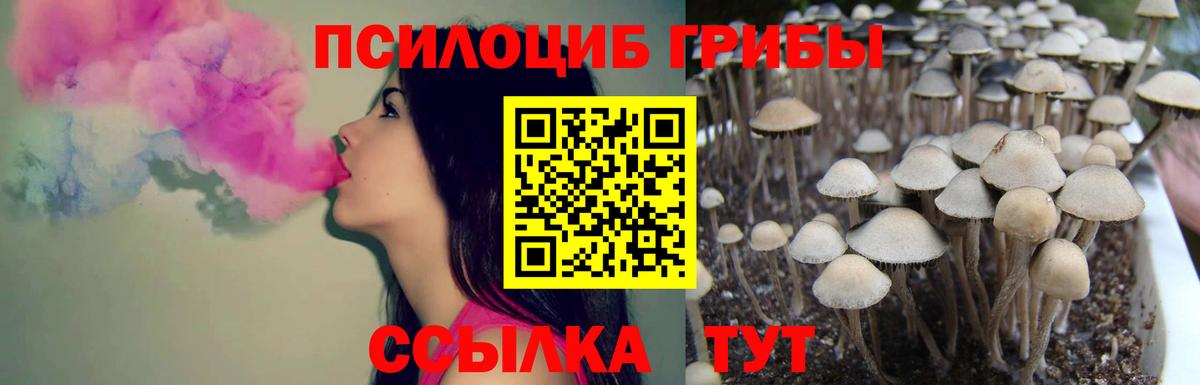 Галлюциногенные грибы Magic Shrooms Железноводск